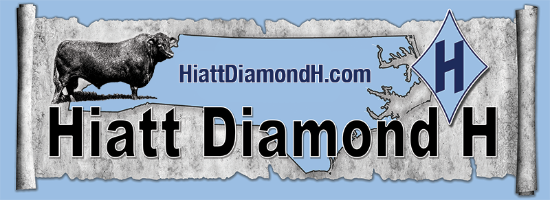 Diamond H Logo